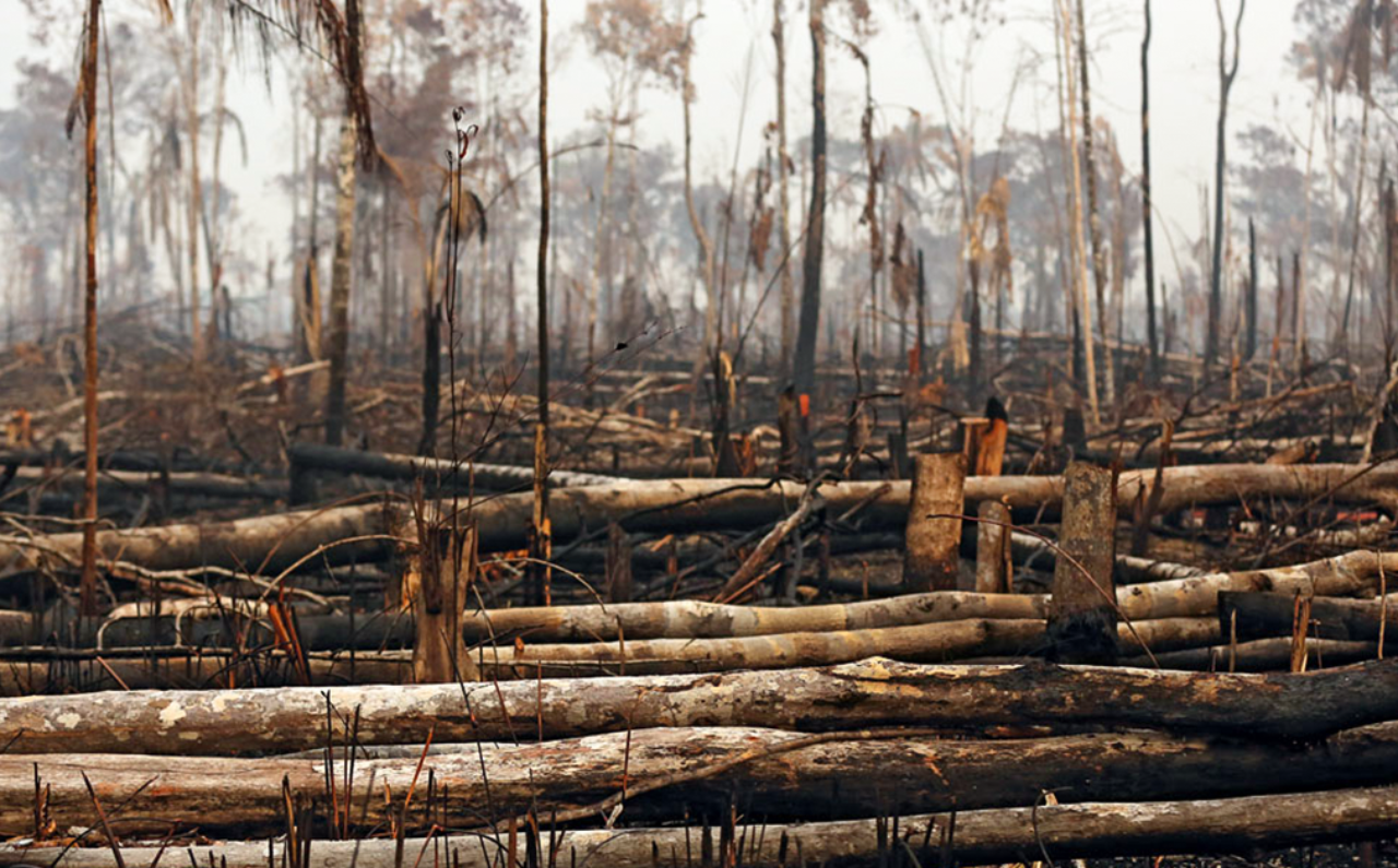 Tendência: mude algo, mude tudo. Será que algo muda com o fim da COP26?