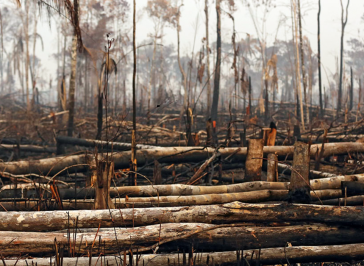 Tendência: mude algo, mude tudo. Será que algo muda com o fim da COP26?